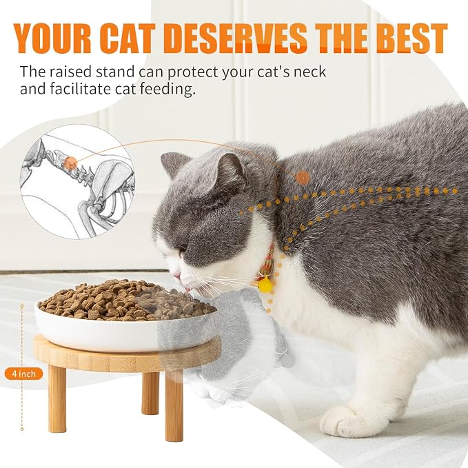Lusifaco Shallow Elevated Cat Bowls,5.9 Inch Wide Raised Ceramic Cat Dishes with Bamboo Stand, Whisker Friendly Pet Water or Food Plates Feeding Station for Indoor Cats, Kitten (Blue,Set of 2)