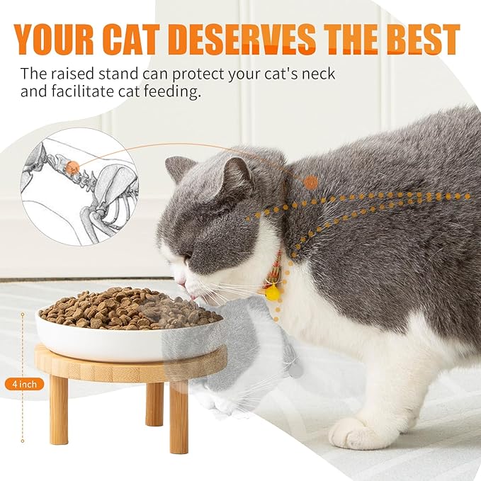 Lusifaco Shallow Elevated Cat Bowls,5.9 Inch Wide Raised Ceramic Cat Dishes with Bamboo Stand, Whisker Friendly Pet Water or Food Plates Feeding Station for Indoor Cats, Kitten(Grey,Set of 1)