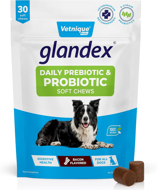Vetnique Glandex Daily Probiotics for Dogs with Prebiotics to Support Gut Health with Fiber and Digestive Enzymes, Probiotic Chews or Powders (30ct Chews, Bacon Chews)