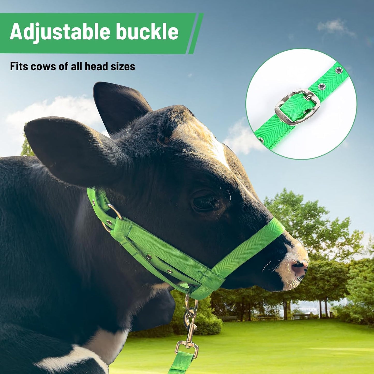 XUANNIAO Easily Adjustable Figure 8 Cow Halter, Double-Ply Premium Livestock Cattle Halters, Colorful Cow Utility Calf Halter with Leading Rope for Miniature Horse Donkey Goat Foal (Large, Green)