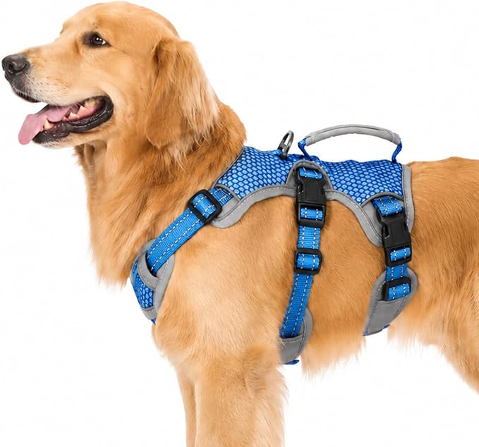 Escape Proof Dog Harness, Dachshund Harness, Reflective Dog Harness with Handle, Durable,Adjustable Vest for Small Medium Large Dogs Walking, Training, and Running Gear (Sea Blue,L)