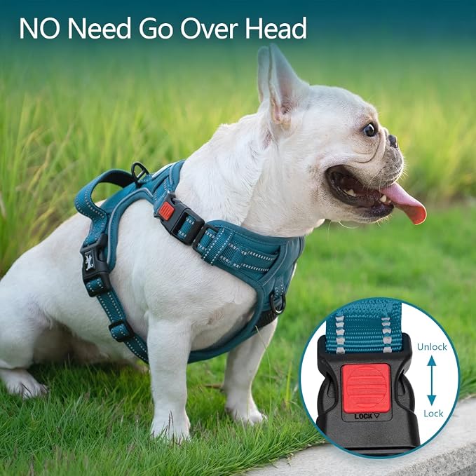 PoyPet No Pull Dog Harness, Reflective Vest with 2 Leash Clips & Handle | Lockable Neck Release Buckle, No Choke, Adjustable, Soft Padded, for Walking Training, Tumalo Teal, Large