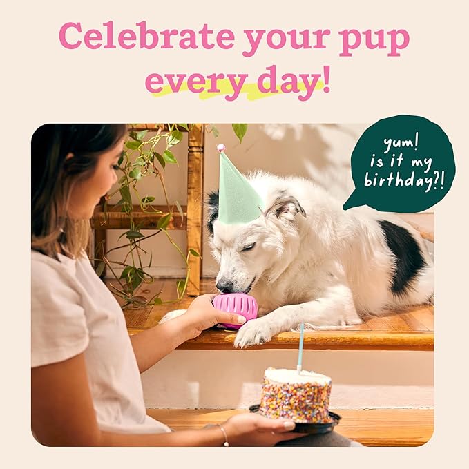 WOOF Pupsicle Interactive Dog Ball Toy for Dogs Small 10-25 lbs - Pink | Long-lasting enrichment toy for small dogs, easy-fill design, low-mess play, made of natural rubber, easy to clean