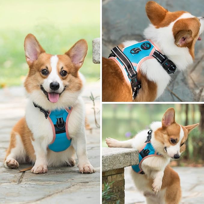 No Pull Dog Harness Medium Reflective Front Clip Vest with Handle | Adjustable 2 Metal Rings 3 Buckles ,[Easy to Put on & Take off](M, Blue)