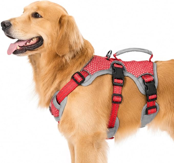 Escape Proof Dog Harness, Dachshund Harness, Reflective Dog Harness with Handle, Durable,Adjustable Vest for Small Medium Large Dogs Walking, Training, and Running Gear (Red,L)
