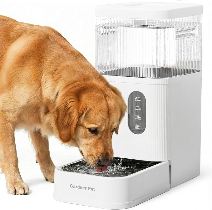 2.9 Gallon Automatic Dog Water Dispenser with Stainless Steel Bowl | BPA-Free, 11L Large Capacity, Stainless Steel Bowl, Maifan Stone Filter, Gravity Auto-Fill, Safe for Cats & Dogs