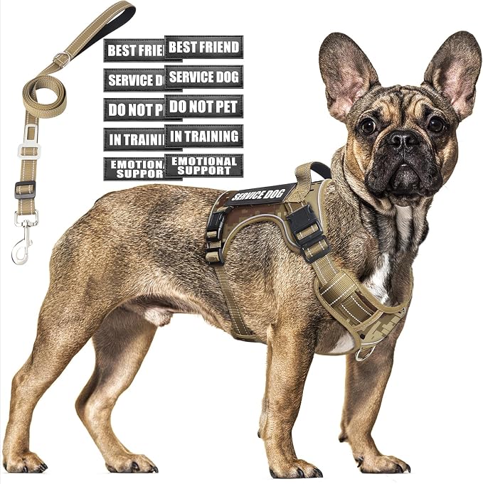 Tactical Dog Harness and Leash Set with 10 Patches for Medium Dogs | Heavy Duty No Pull Service Animal Dog Vest with Dog Seat Belt ,Adjustable Reflective Easy Walk for Training Hiking Camo M