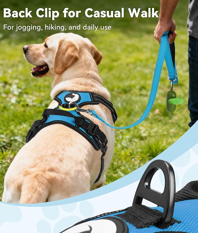 Joytale No Pull Dog Harness for Large Dogs, Front Clip, Sky Blue | Grab Handle for Instant Control, Padded & Adjustable Vest, Sturdy Metal D-Rings, for Safe Training & Daily Walking