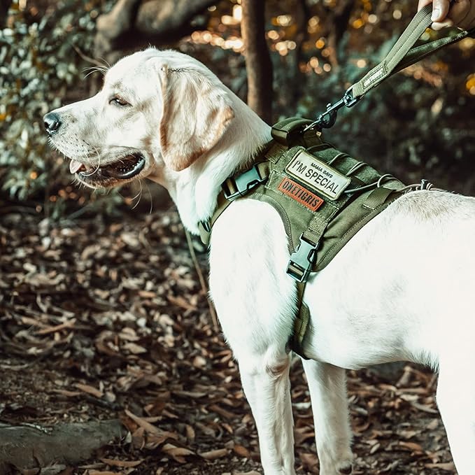 OneTigris Tactical Dog Harness No-Pull Breathable Pet Vest for Small Dogs | Military 1000D Pullable Nylon, Service Dog Vest with Hook & Loop Panels, Easy On & Off for Walking Hiking Training Green S