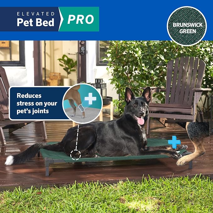 Coolaroo Pro Elevated Dog Bed - Low-Profile Access, Moisture-Resistant Cover, Breathable Fabric & Tool-Free Setup, Brunswick Green, Standard