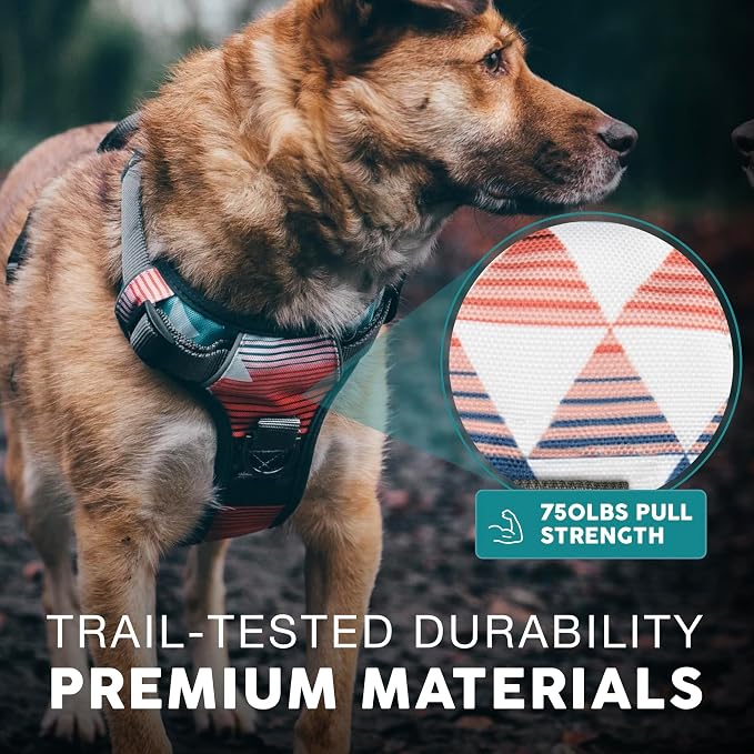 Embark No Pull Dog Harness, Reflective Adjustable Training Vest, No Choke | Adjustable straps fit all dog breeds with sturdy hooks; 360° reflective trim, soft padded Harness Design for All Dogs