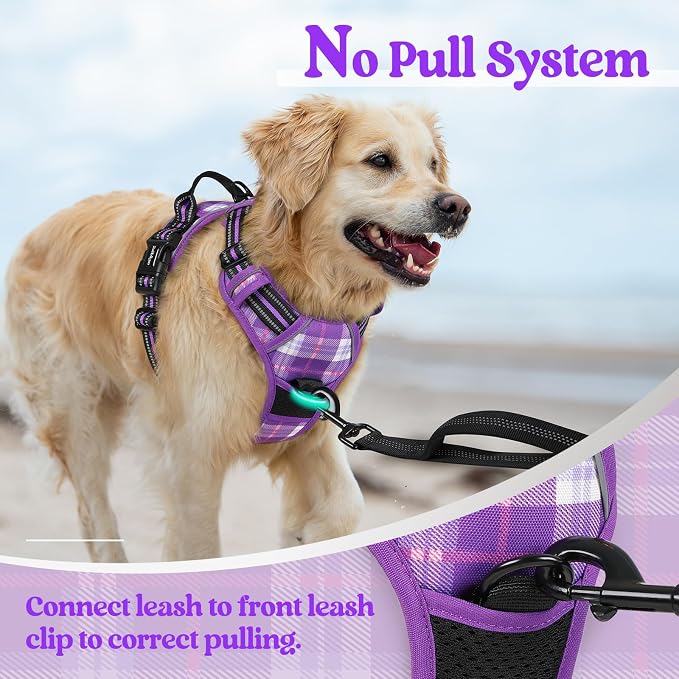 rabbitgoo Dog Harness, No Pull Medium Sized with 2 Leash Clips, Pet Vest | No Choke with Handle, Adjustable Soft Padded, Reflective, Easy Control for Walking, Purple Plaid, Medium
