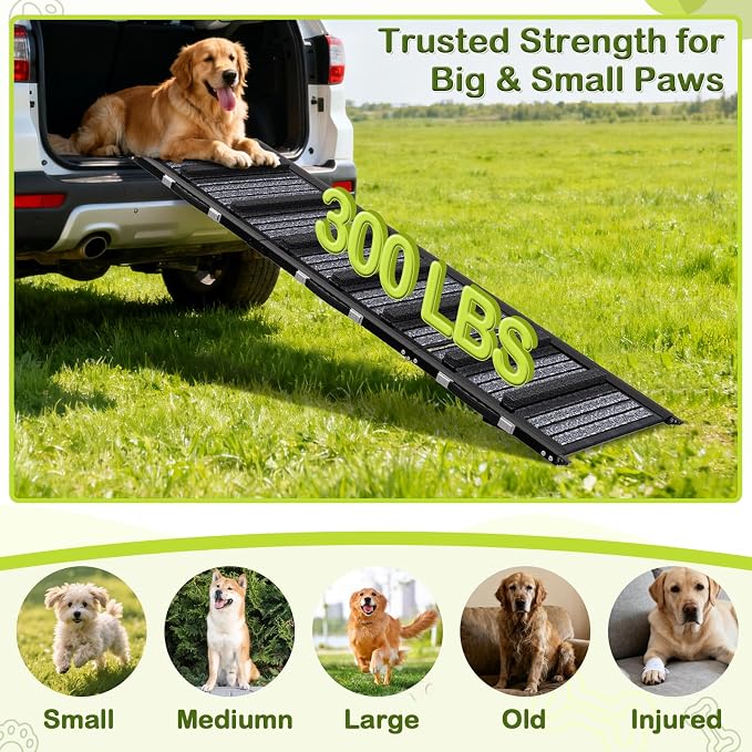 TNELTUEB Adjustable Dog Ramp, Folding Portable Pet Ramp, Rated for 30 LBS | 32.6" Long and Adjustable from 10" to 19" with Non-Slip Traction Mat, Dog Step for Bed, Couch,Car (55"-Grey)