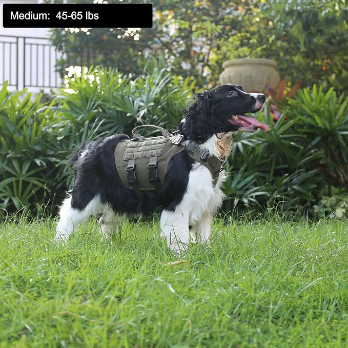 ICEFANG No Pull Tactical Dog Harness for Medium Dogs,Adjustable Dog Vest | Control Handle,MOLLE Panel,Front Hook,3 Leash Clips,Soft Padded,for walking training,Green,Medium