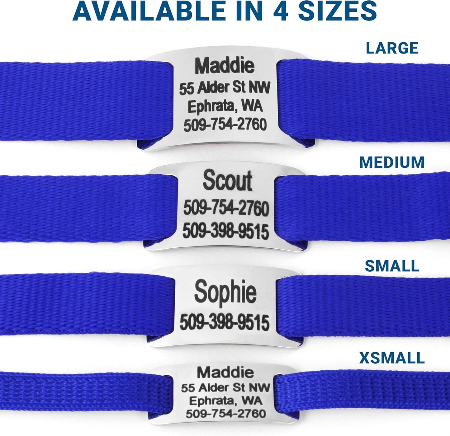 GoTags Personalized Dog Collar with Nameplate, Adjustable Dog Collar with Custom Engraved Slide On Pet ID Tag in Stainless Steel, Silent, No Noise Dog Tag for Large Medium and Small (Blue, Large)