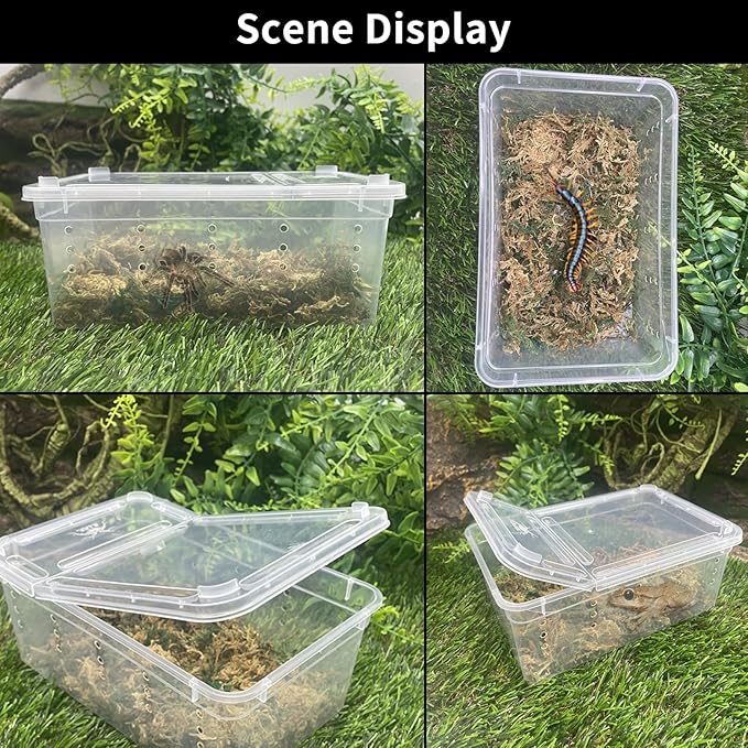 PINVNBY Reptile Feeding Box 8 PCS Snake Breeding Box Lizard Cage Habitat Hatching Container 7.48"x4.92"x2.95" Transparent Portable Plastic Cricket Cage for Spider Scorpion Gecko Tortoise Treefrog