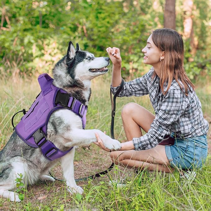 WINGOIN Purple Tactical Dog Harness for Large Dogs,No Pull Dog Harness | with Handle,Adjustable Reflective,Military K9 Style,Big Size Dog Vest,for German Shepherd,for Walking Training Hunting