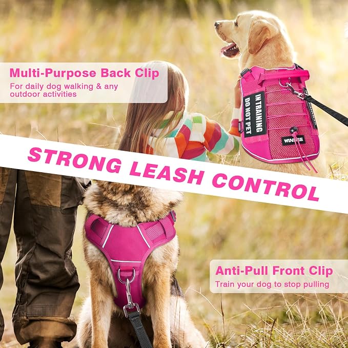 Service Dog in Training Mesh Harness with 10 Removale Pet Patches | Breathable material, adjustable straps, reflective trim, lightweight but durable, great for training, walks, and outings