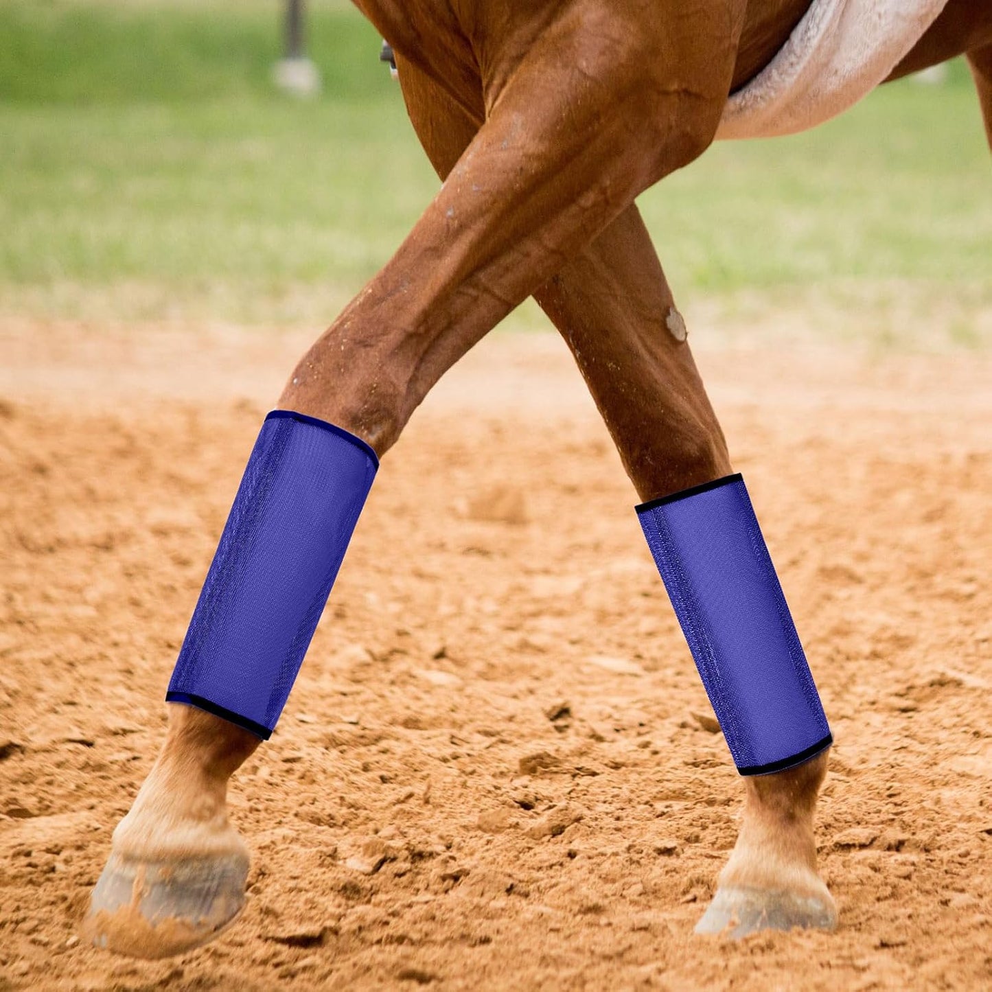 Jexine 12 Fly Boots for Horse Set of 12 Loose Breathable Mesh Horse Fly Sheets Protective Horse Leg Wraps Leggings for Preventing Flies and Mosquitoes Bites (Purple, Red, Pink)