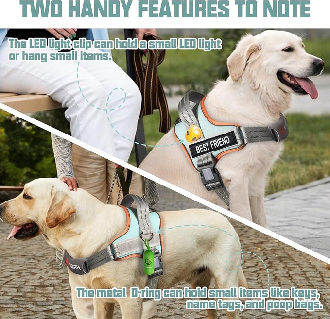 AUROTH Dog Harness for Large Dogs No Pull Tactical Harness and Leash Set | with Leash Clips, LED light clip, Breathable Mesh Padded No Choke, Easy Walking and Training, Macaron Blue, Large