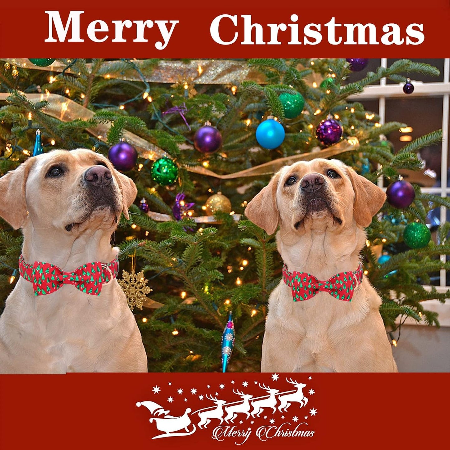 Unique style paws Christmas Dog Collar with Bow Best Winter for Small Medium Large Dogs -Christmas Tree-XS