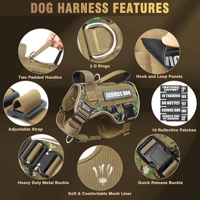 2X Metal Buckle Service Working MOLLE Dog Vest with 10 Pet Patches | Tactical Dog Harness for Medium Dog, No-pull Military Working Vest for Training Hunting Walking，2x D Rings for Leash Clip