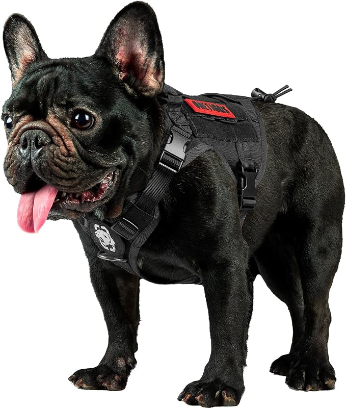 OneTigris Tactical Dog Harness Vest with Handle, Dog Harness for Large Medium Dogs,No-Pull Service Dog Vest with Hook & Loop Panels,Adjustable Dog Vest Harness for Walking(Black,Small) | No-Pull Service Dog Vest with Hook & Loop Panels, Adjustable Dog ...