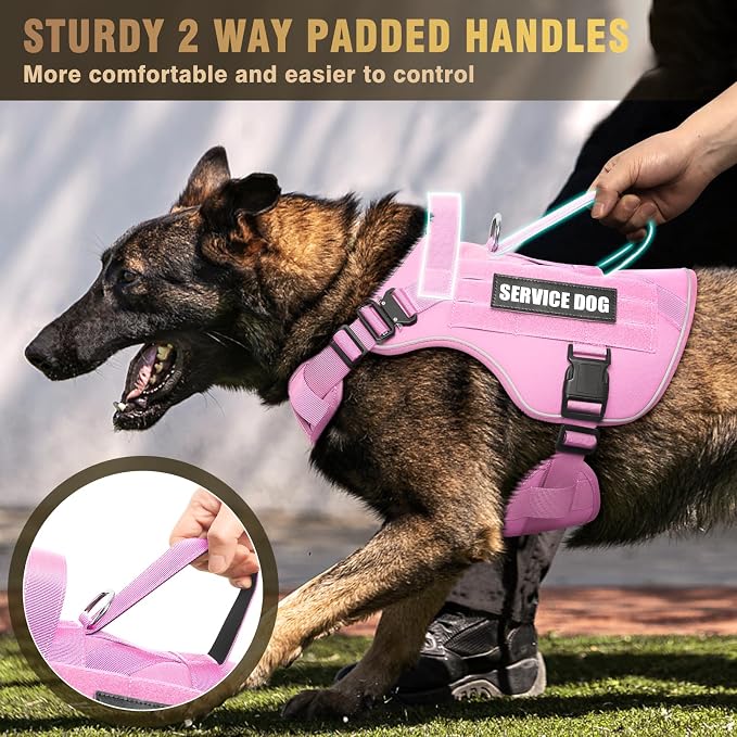 2X Metal Buckle Service Working MOLLE Dog Vest with 10 Pet Patches | Tactical Dog Harness for Large Dog, No-pull Military Working Vest for Training Hunting Walking，2x D Rings for Leash Clip
