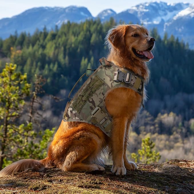 Tactical Dog Backpack Harness for Large Breed Original Design Metal Buckle Vest with Side Bags Pouches for Service Working Training (Camouflage (Vest only), M)