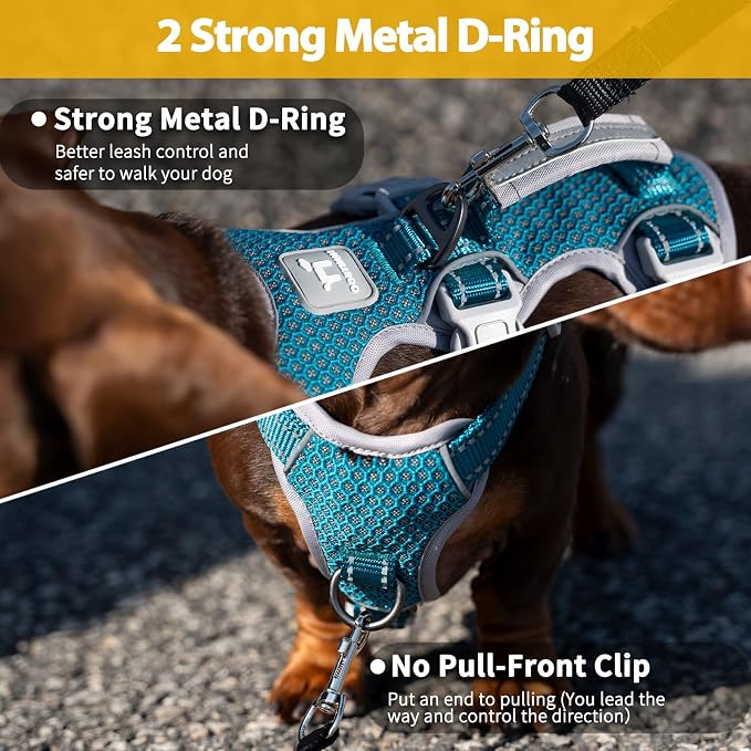 Escape Proof Dog Harness, Escape Artist Harness, Fully Reflective Harness with Padded Handle, Breathable,Durable, Adjustable Vest for Medium Dogs Walking, Training, and Running Gear (Teal,XS)