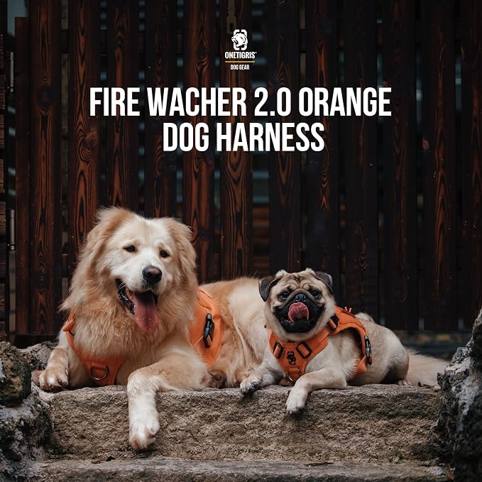 OneTigris Tactical Dog Harness No-Pull Service Vest for Small Medium Dogs | 1000D Pullable Nylon, with Control Handle and Hook & Loop Panels, Easy On & Off, Adjustable for Walking Training Orange M