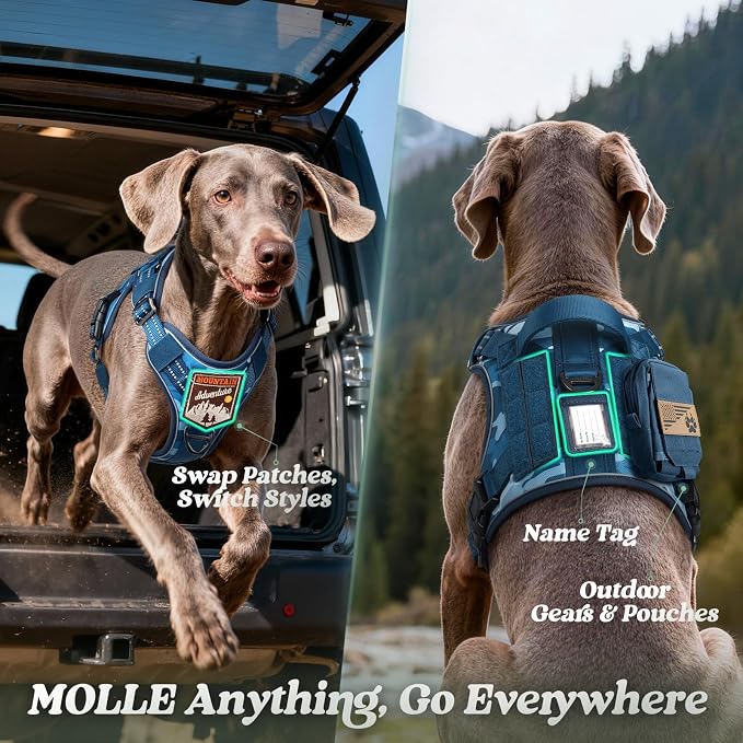rabbitgoo Tactical Dog Harness for Large Dogs, No Pull Service Pet Vest | Military Molle System & Easy Control Handle, Adjustable and Reflective for Walking and Training, Blue Camo, Large