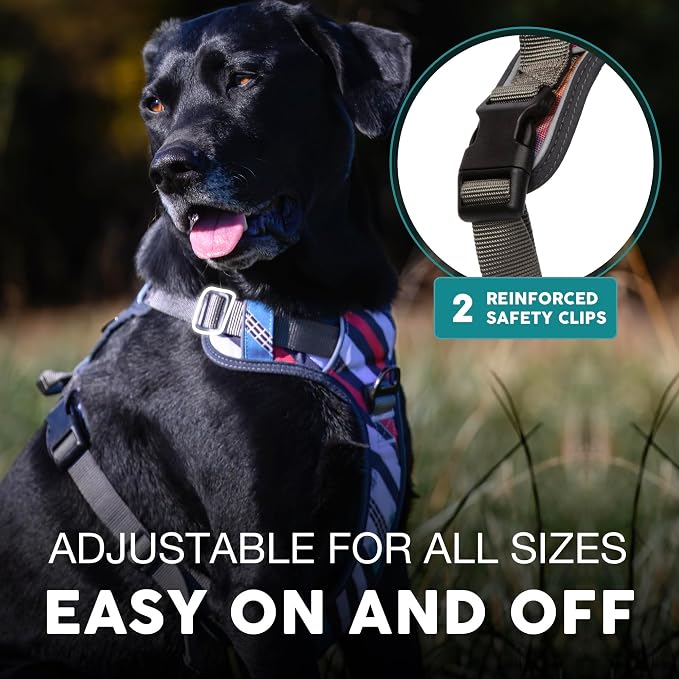 Embark No Pull Dog Harness, Reflective Adjustable Training Vest, No Choke | Adjustable straps fit all dog breeds with sturdy hooks; 360° reflective trim, soft padded Harness Design for All Dogs