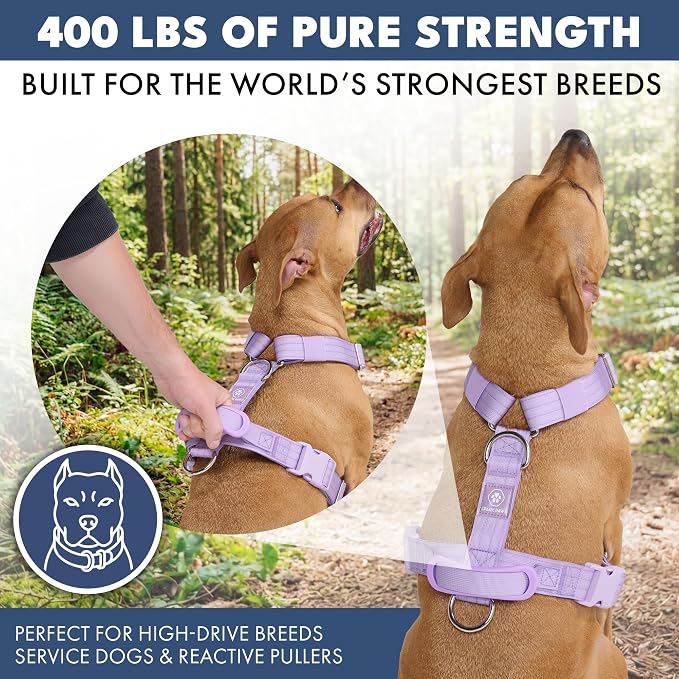 Spark Paws Comfort Control No Pull Dog Harness - Heavy Duty Front Clip | Safety Tested for Strong Breeds, w/ Metal Buckle & Top Handle – Padded Y-Straps Redirect Pulling. Solo or Matching Leash Set