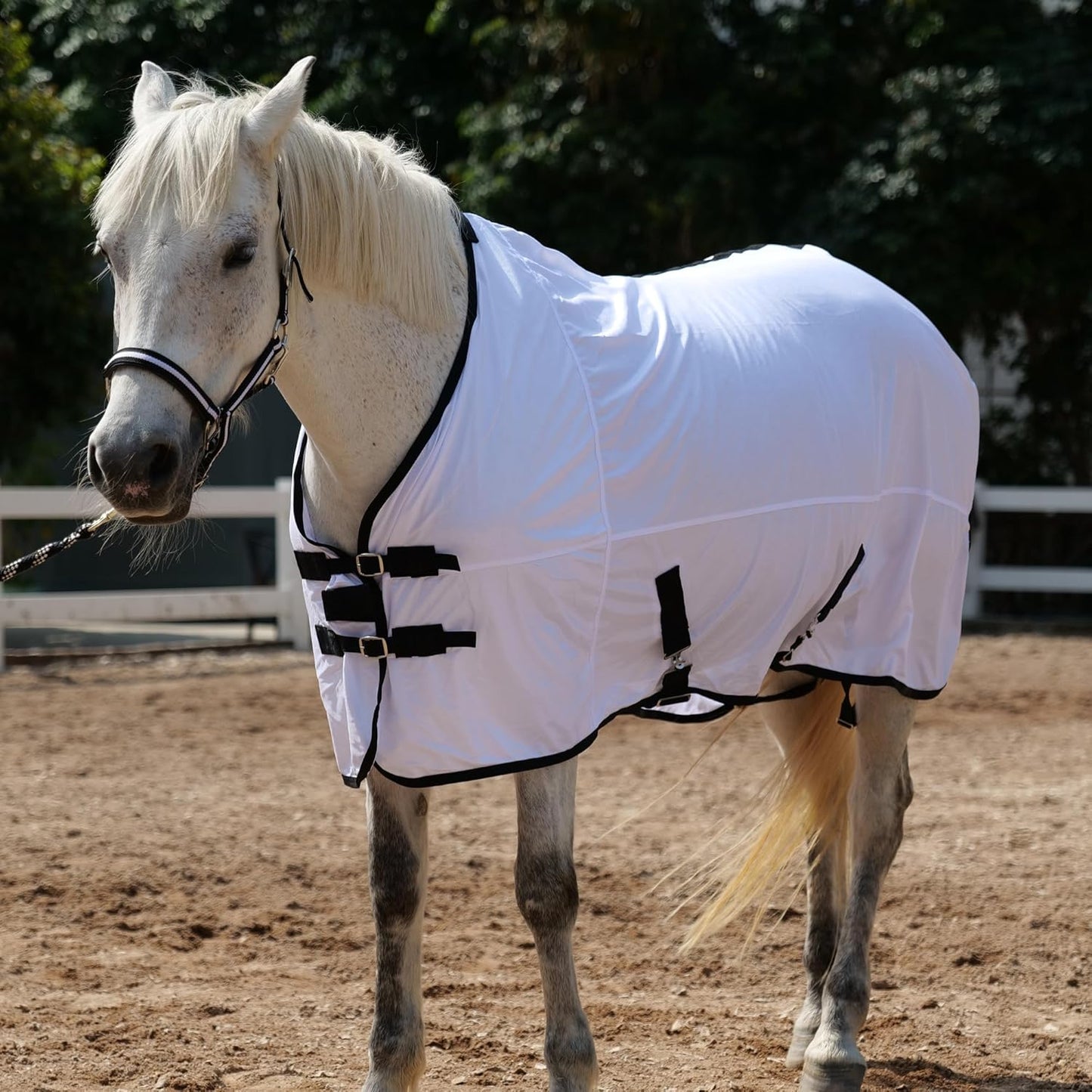 Horse Fly Sheet Equine Summer Sheets, Comfy Mesh Bug and Mosquito Protection Standard Neck - White 72"