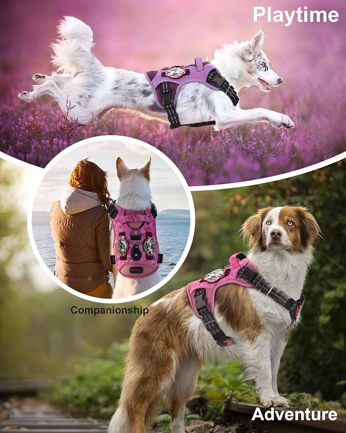 Petnanny Tactical Dog Harness No Pull Service Dog Vest L Jungle Camo | Tactical Dog Vest with breathable mesh & hook loop panel, no pull harness for walking training, adjustable fit