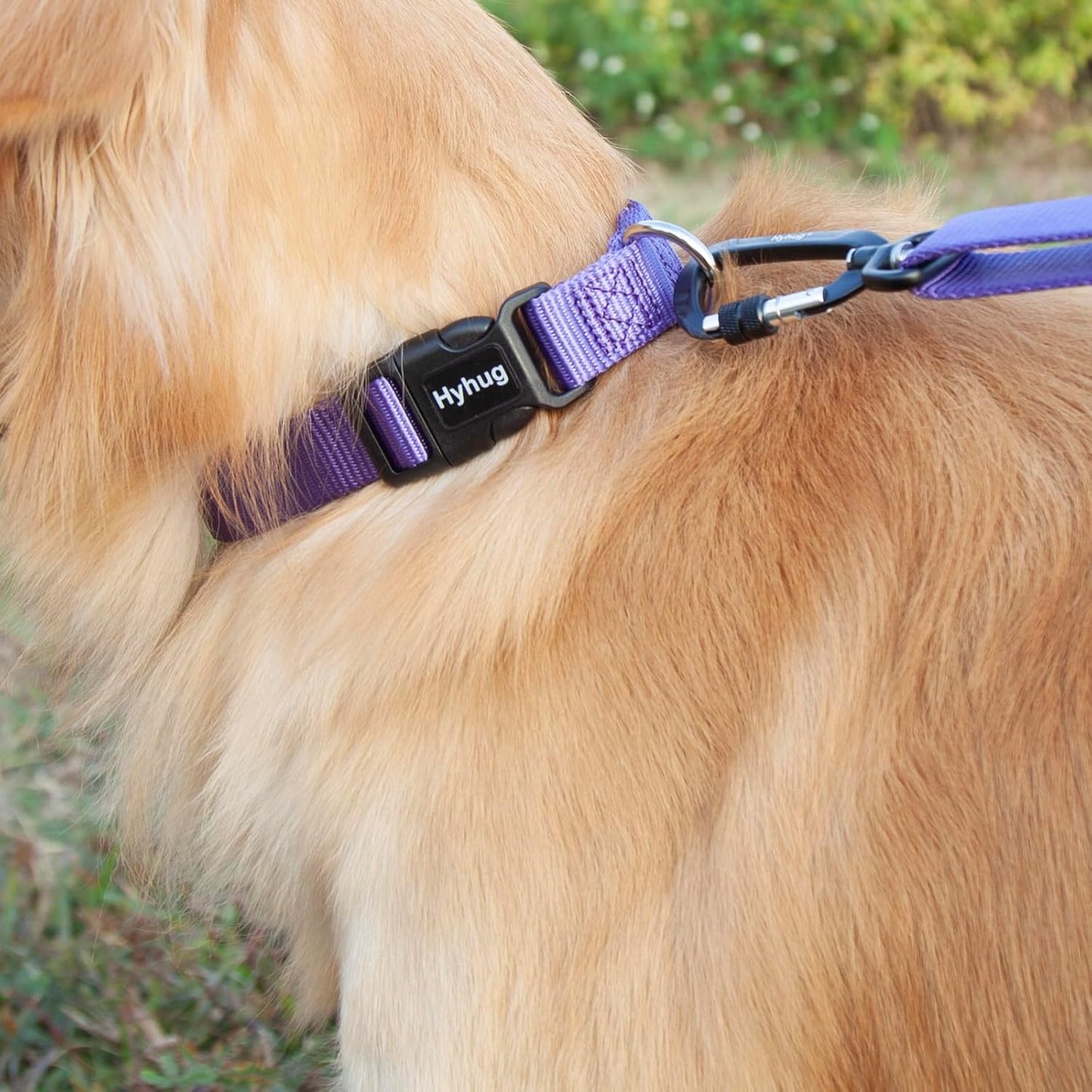Hyhug Pets Solid Color Classic Regular Heavy Duty Basic Collar for Small Dogs, Unique Design Adjustment Triglide Slide (Buckle) Can Attached Name Tag Accessories. (Small, Ultra Violet)
