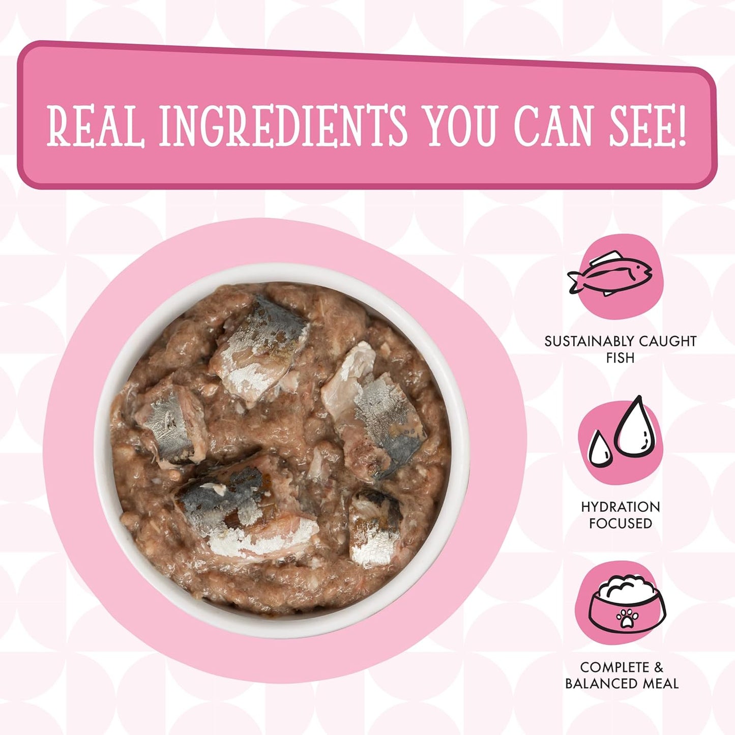 Weruva Cats in The Kitchen, Kitty Gone Wild Wet Cat Food, 10oz Can (Pack of 12)