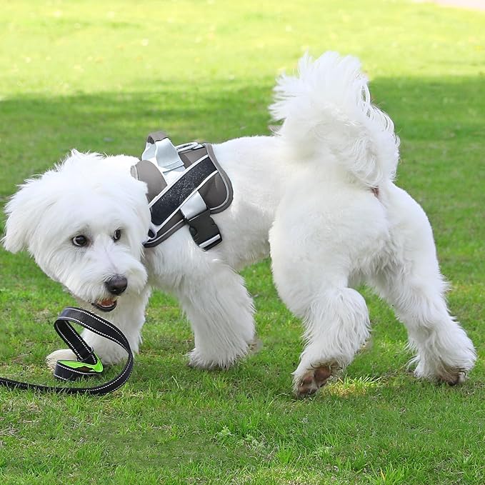 Dog Harness, No-Pull Reflective Dog Vest, Breathable Adjustable Pet Harness with Handle for Outdoor Walking - No More Pulling, Tugging or Choking