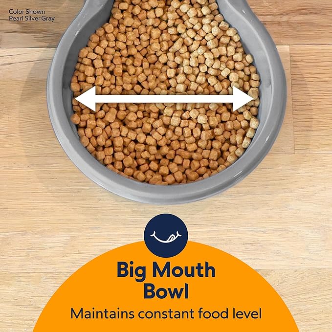Petmate Replendish Automatic Dog Feeder Gravity Pet Treat Dispenser with Microban Protection Base, Wide Mouth Bowl, 100% BPA Free - 2 lb