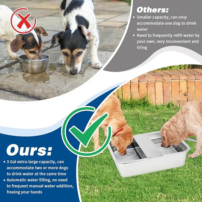 BWOGUE 3 Gal Automatic Dog Water Dispenser, Stainless Steel Bowl for Dogs | Automatic Dog Water Bowl Dispenser, Float Valve Control, Outdoor Use, Easy to Mount & Clean, Large Dogs, Cats, Chickens