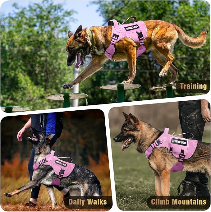 2X Metal Buckle Service Working MOLLE Dog Vest with 10 Pet Patches | Tactical Dog Harness for Medium Dog, No-pull Military Working Vest for Training Hunting Walking，2x D Rings for Leash Clip