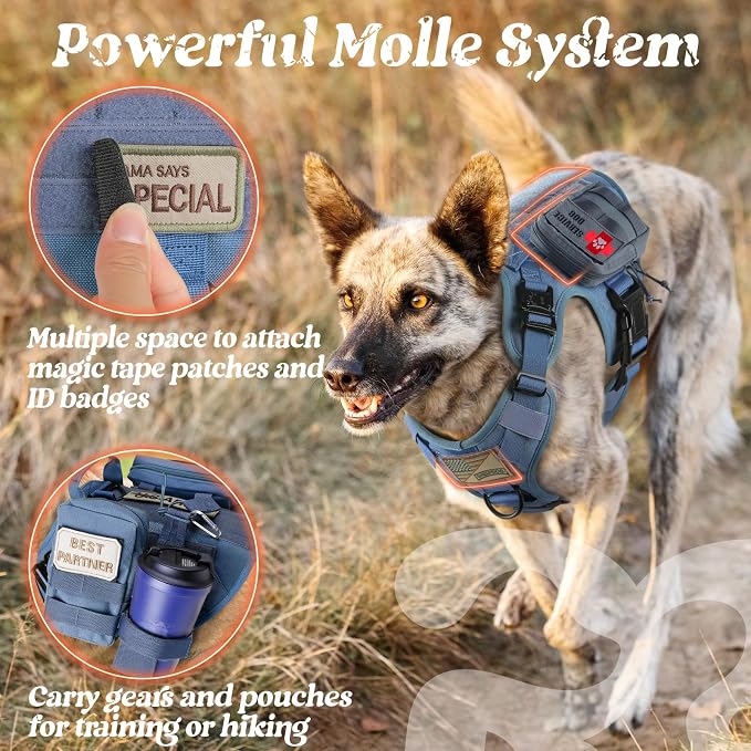 rabbitgoo Tactical Dog Harness for Large, Heavy Duty Military No Pull Vest | Sturdy Metal Buckles, 5 Adjustments, Molle System, Powerful Pullers for Training, Hunting, Outdoor, Blue, Large