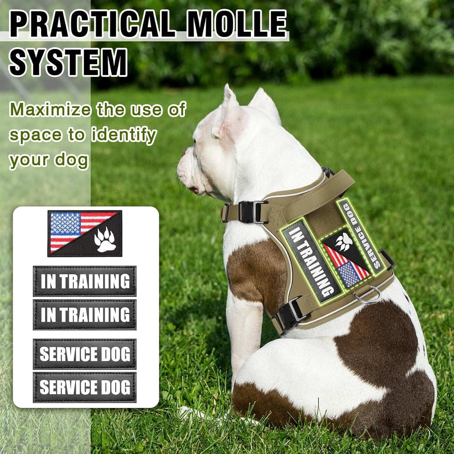 WINSEE Service Dog in Training Harness with 5 PCS Patches, Reflective Tactical Dog Vest Harness, Adjustable Soft Oxford Pet Harness with Easy Control Handle, Hook & Loop Panels for Walking Hiking