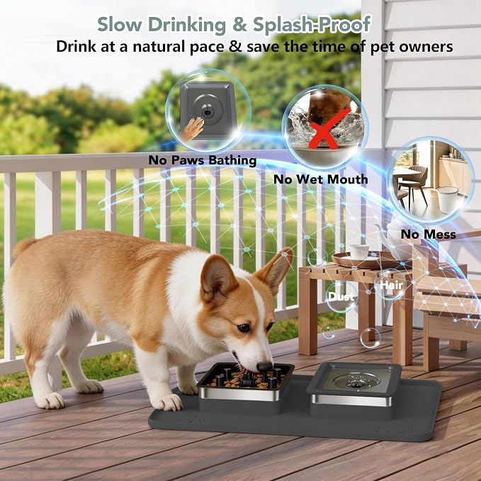 Dog Bowl Set, No Spill Dog Water and Food Bowl with Slow Feeder | Large Capacity 304 Stainless Steel Bowls, 3-In-1 Set, Slow Drinking, Anti-Slip Mat, Easy to Clean, Home/Travel, 6-7 Cups