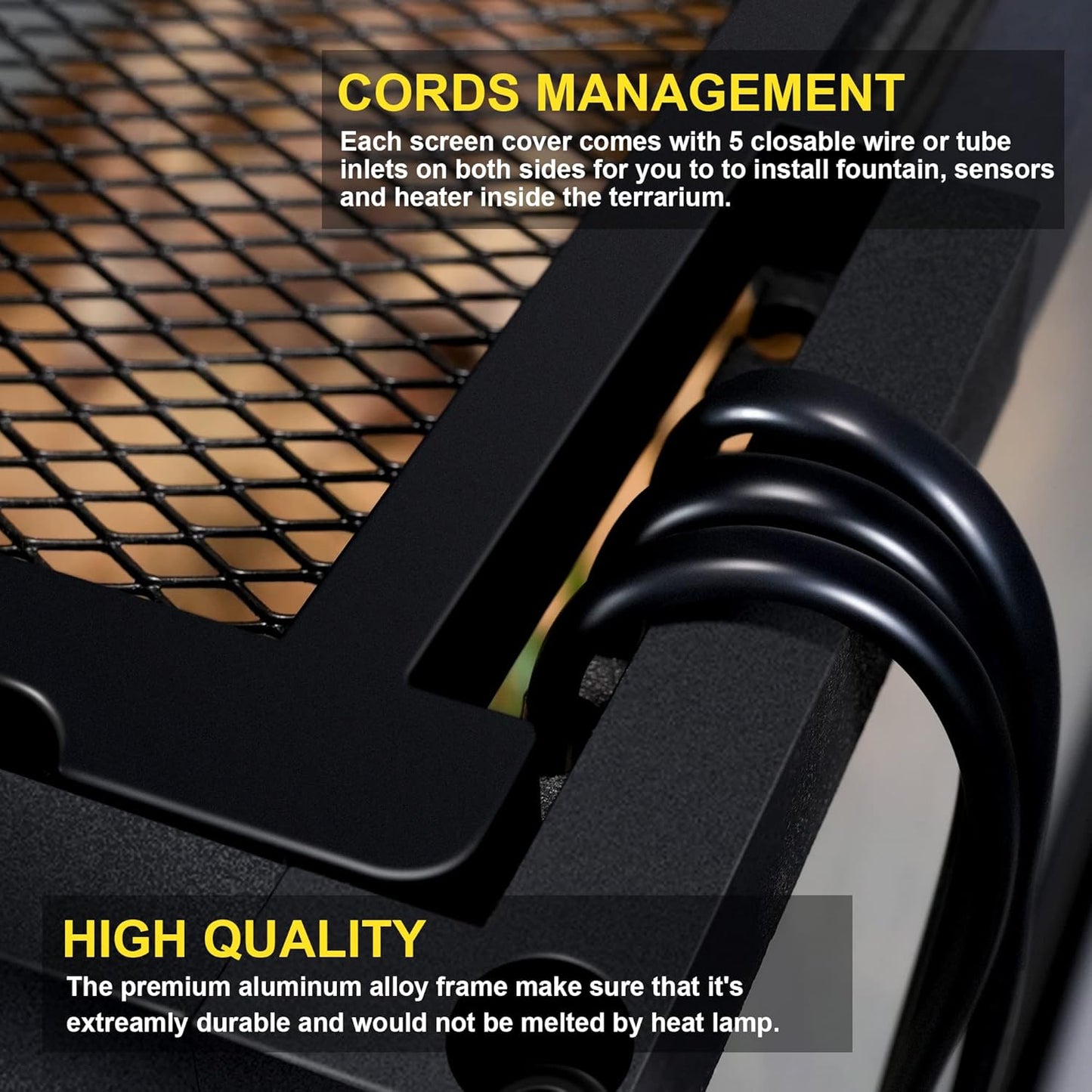 10 Gallon Professional Glass Terrarium 12"x12"x18" Durable Reptile Habitat Tank with Heat Resistant Aluminum Alloy Frame, Dual Front Swinging Doors for no Jam by Sand and Other Debris