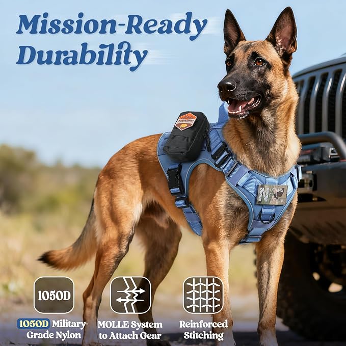 rabbitgoo Tactical Dog Harness for Medium, Heavy Duty Military No Pull Vest | Sturdy Metal Buckles, 5 Adjustments, Molle System, Powerful Pullers for Training, Hunting, Outdoor, Blue Reflex, Medium