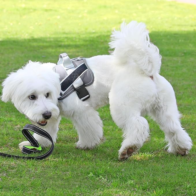 Dog Harness, No-Pull Reflective Dog Vest, Breathable Adjustable Pet Harness with Handle for Outdoor Walking - No More Pulling, Tugging or Choking