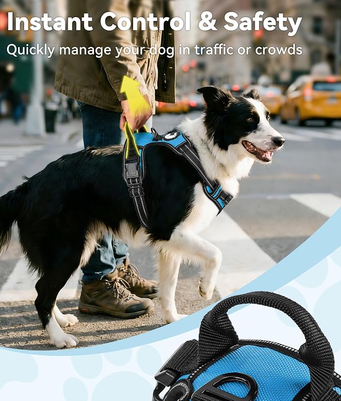 Joytale No Pull Dog Harness for Large Dogs, Front Clip, Sky Blue | Grab Handle for Instant Control, Padded & Adjustable Vest, Sturdy Metal D-Rings, for Safe Training & Daily Walking