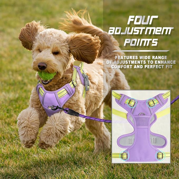 BARKBAY Dog Harness No Pull for Small Sized Dog Front Back Clips,Dog Vest | Soft Padded No Choke With Handle,Easy On&Off,Adjustable Reflective For Walking Training Running(Violet Purple & Sunlight,S)